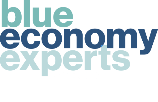 Blue Economy Experts - Specialized knowledge in offshore renewables